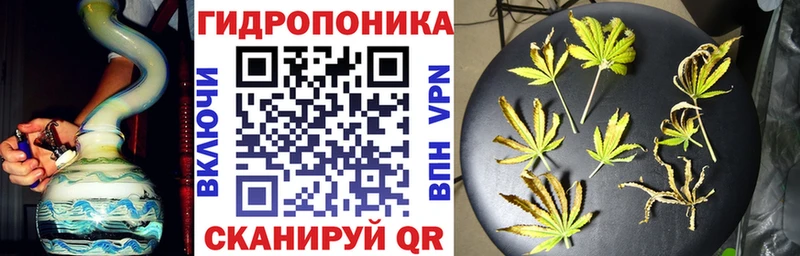 Галлюциногенные грибы Энгельс