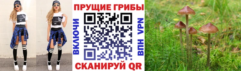 Галлюциногенные грибы ЛСД  Энгельс 